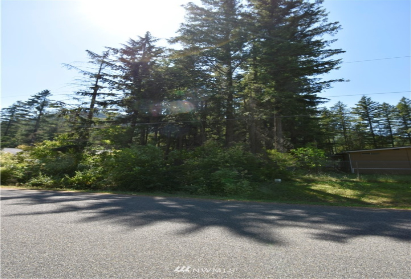 8591 Golden Valley, Maple Falls, Washington 98266, ,Land,For Sale,Golden Valley,NWM1803224