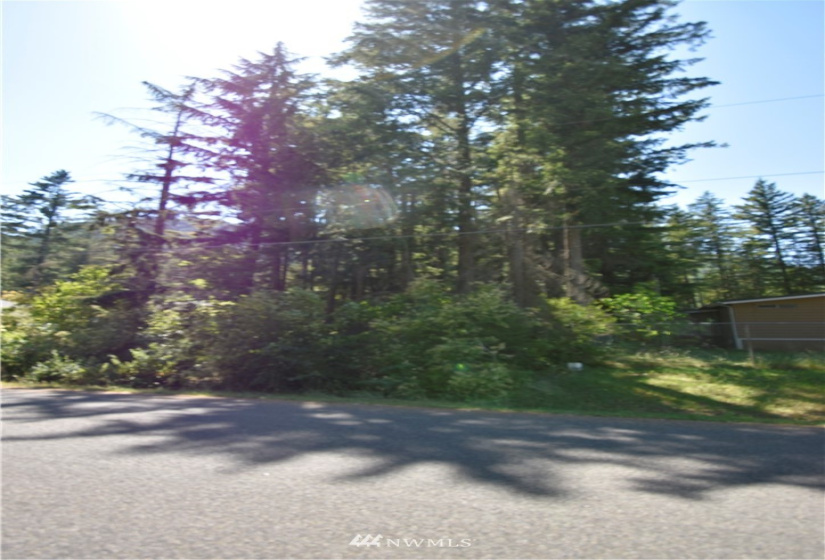 8591 Golden Valley, Maple Falls, Washington 98266, ,Land,For Sale,Golden Valley,NWM1803224