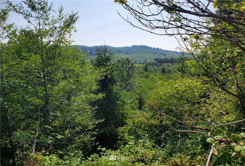 21 Bunker Road, Forks, Washington 98331, 4 Bedrooms Bedrooms, ,Residential,For Sale,Bunker Road,NWM1808841