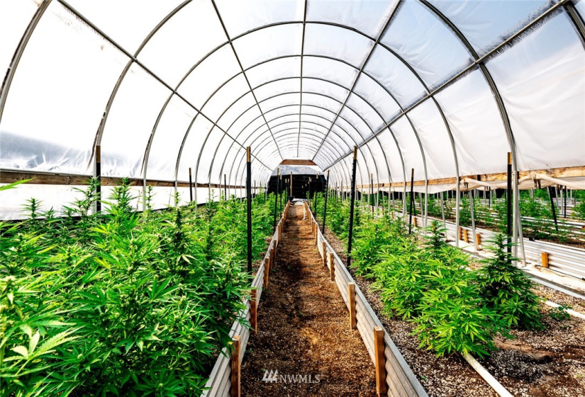 221 Omak River, Omak, Washington 98841, 4 Bedrooms Bedrooms, ,2 BathroomsBathrooms,Farm,For Sale,Omak River,NWM1809112