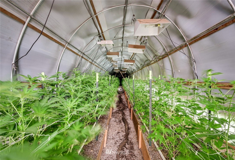 221 Omak River, Omak, Washington 98841, 4 Bedrooms Bedrooms, ,2 BathroomsBathrooms,Farm,For Sale,Omak River,NWM1809112