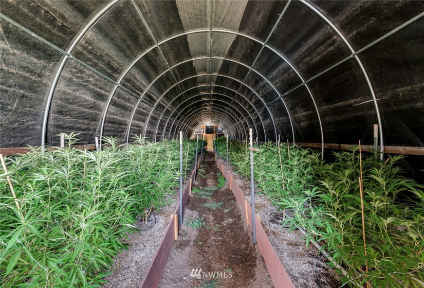 221 Omak River, Omak, Washington 98841, 4 Bedrooms Bedrooms, ,2 BathroomsBathrooms,Farm,For Sale,Omak River,NWM1809112