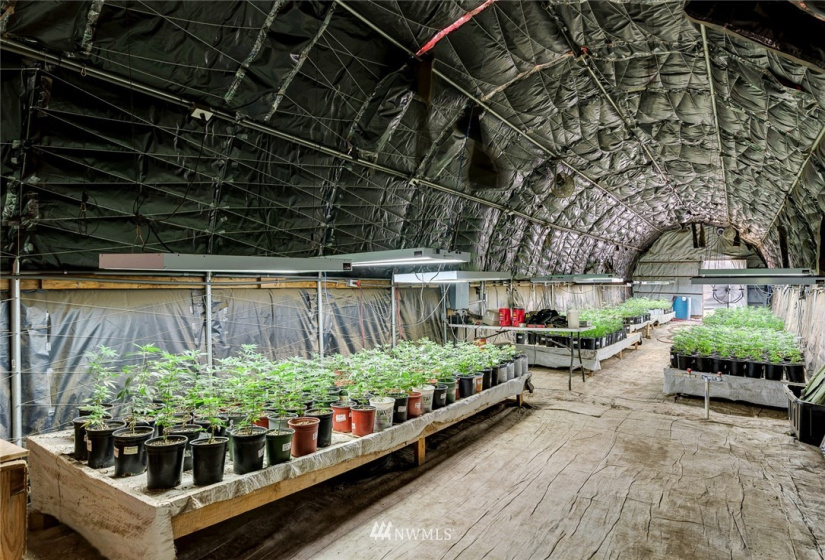 221 Omak River, Omak, Washington 98841, 4 Bedrooms Bedrooms, ,2 BathroomsBathrooms,Farm,For Sale,Omak River,NWM1809112