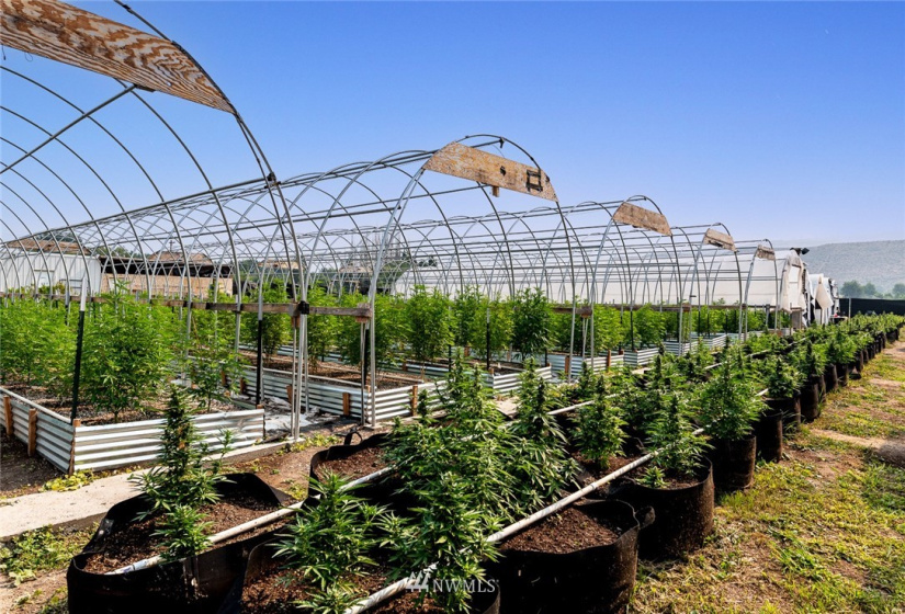 221 Omak River, Omak, Washington 98841, 4 Bedrooms Bedrooms, ,2 BathroomsBathrooms,Farm,For Sale,Omak River,NWM1809112