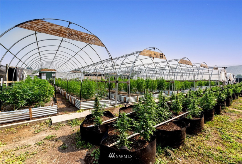 221 Omak River, Omak, Washington 98841, 4 Bedrooms Bedrooms, ,2 BathroomsBathrooms,Farm,For Sale,Omak River,NWM1809112