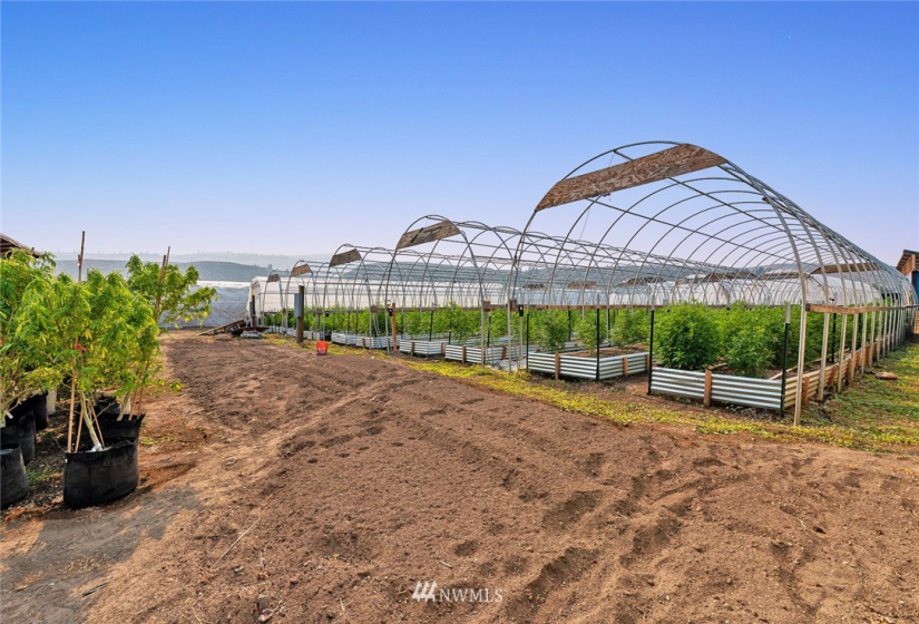 221 Omak River, Omak, Washington 98841, 4 Bedrooms Bedrooms, ,2 BathroomsBathrooms,Farm,For Sale,Omak River,NWM1809112