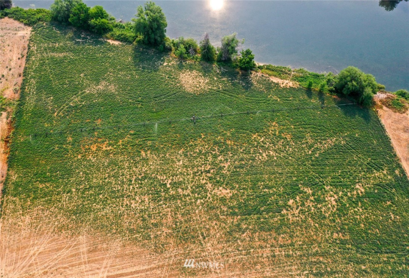 221 Omak River, Omak, Washington 98841, 4 Bedrooms Bedrooms, ,2 BathroomsBathrooms,Farm,For Sale,Omak River,NWM1809112