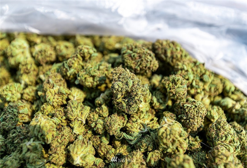 221 Omak River, Omak, Washington 98841, 4 Bedrooms Bedrooms, ,2 BathroomsBathrooms,Farm,For Sale,Omak River,NWM1809112