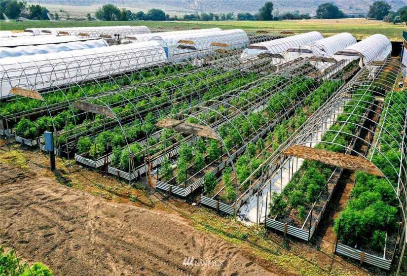 221 Omak River, Omak, Washington 98841, 4 Bedrooms Bedrooms, ,2 BathroomsBathrooms,Farm,For Sale,Omak River,NWM1809112