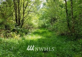 17 Tybren Hts, Kelso, Washington 98625, ,Land,For Sale,Tybren Hts,NWM1809668