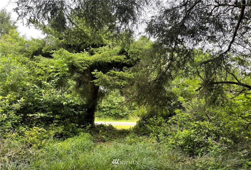 218 oar, Ocean Shores, Washington 98569, ,Land,For Sale,4,oar,NWM1812765