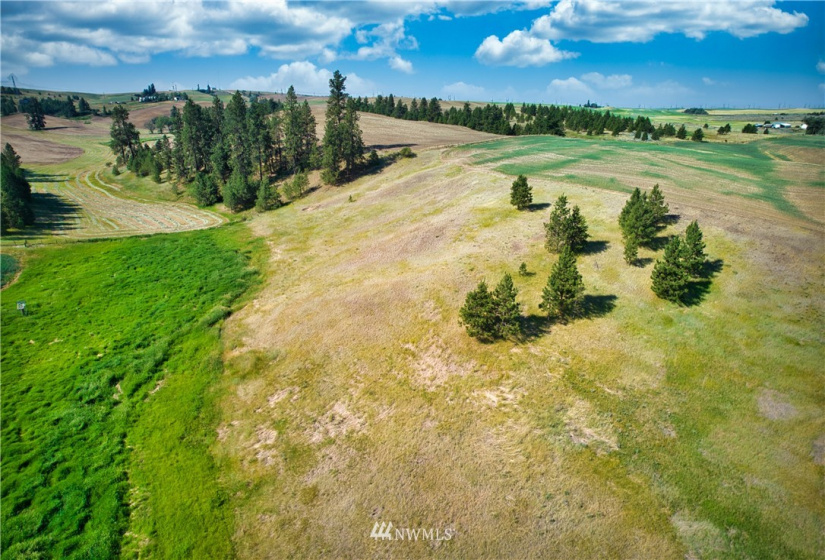 33196 Teel Hill, Davenport, Washington 99122, 3 Bedrooms Bedrooms, ,1 BathroomBathrooms,Farm,For Sale,Teel Hill,NWM1810942