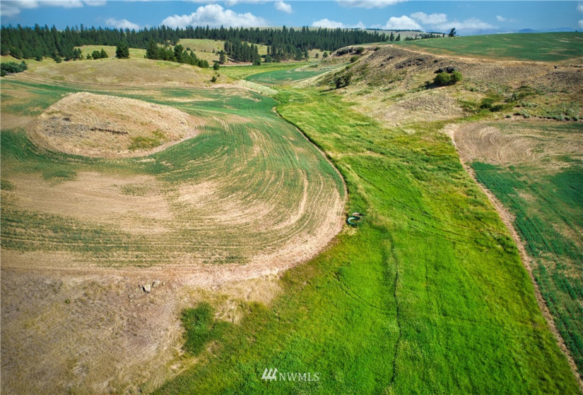 33196 Teel Hill, Davenport, Washington 99122, 3 Bedrooms Bedrooms, ,1 BathroomBathrooms,Farm,For Sale,Teel Hill,NWM1810942