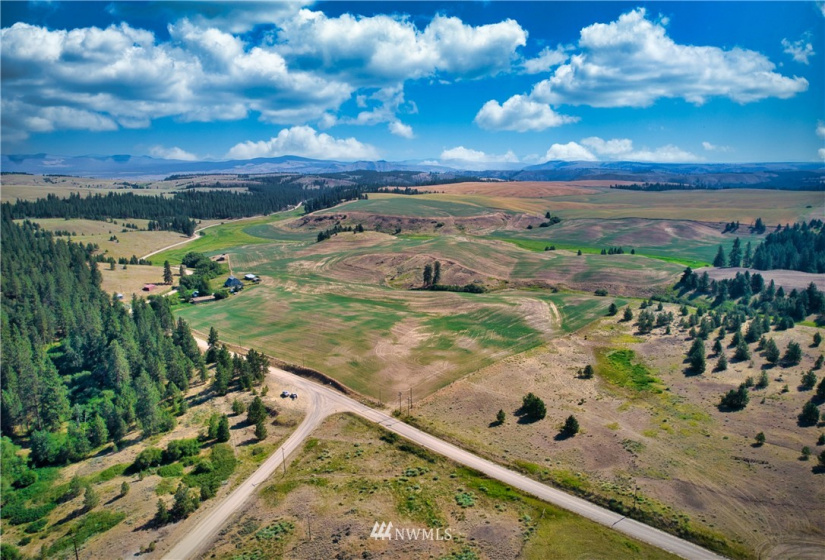 33196 Teel Hill, Davenport, Washington 99122, 3 Bedrooms Bedrooms, ,1 BathroomBathrooms,Farm,For Sale,Teel Hill,NWM1810942