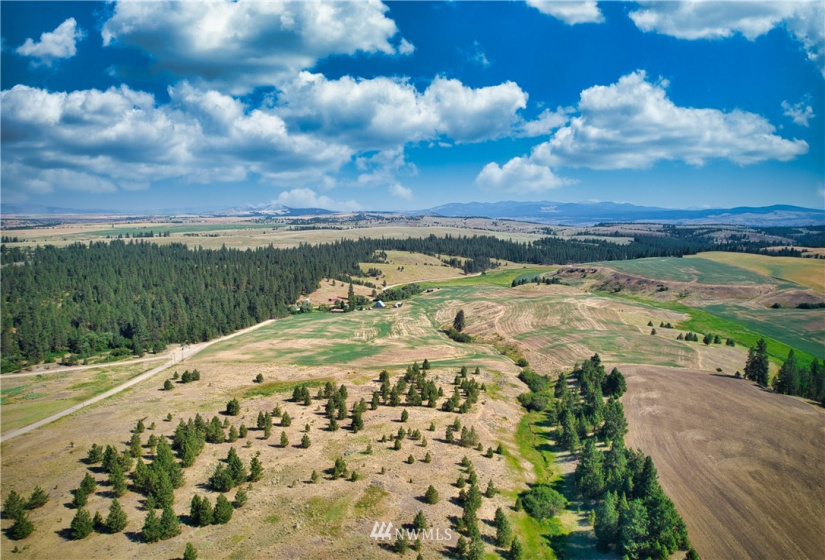 33196 Teel Hill, Davenport, Washington 99122, 3 Bedrooms Bedrooms, ,1 BathroomBathrooms,Farm,For Sale,Teel Hill,NWM1810942