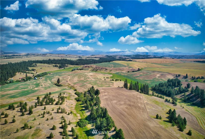 33196 Teel Hill, Davenport, Washington 99122, 3 Bedrooms Bedrooms, ,1 BathroomBathrooms,Farm,For Sale,Teel Hill,NWM1810942