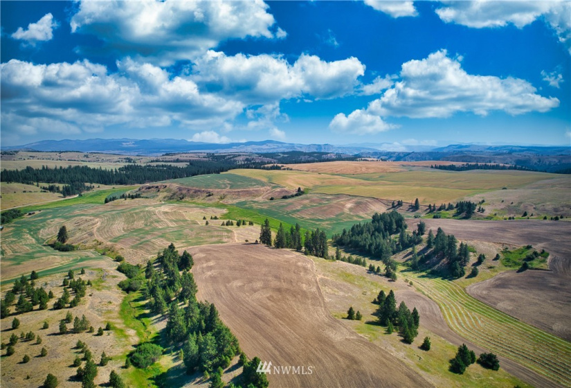 33196 Teel Hill, Davenport, Washington 99122, 3 Bedrooms Bedrooms, ,1 BathroomBathrooms,Farm,For Sale,Teel Hill,NWM1810942