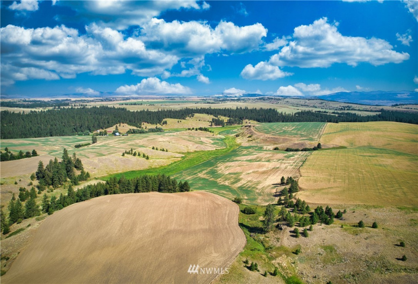 33196 Teel Hill, Davenport, Washington 99122, 3 Bedrooms Bedrooms, ,1 BathroomBathrooms,Farm,For Sale,Teel Hill,NWM1810942