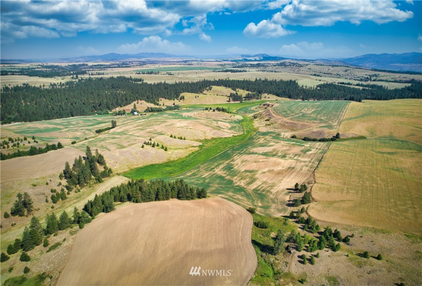 33196 Teel Hill, Davenport, Washington 99122, 3 Bedrooms Bedrooms, ,1 BathroomBathrooms,Farm,For Sale,Teel Hill,NWM1810942