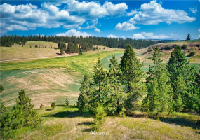 33196 Teel Hill, Davenport, Washington 99122, 3 Bedrooms Bedrooms, ,1 BathroomBathrooms,Farm,For Sale,Teel Hill,NWM1810942