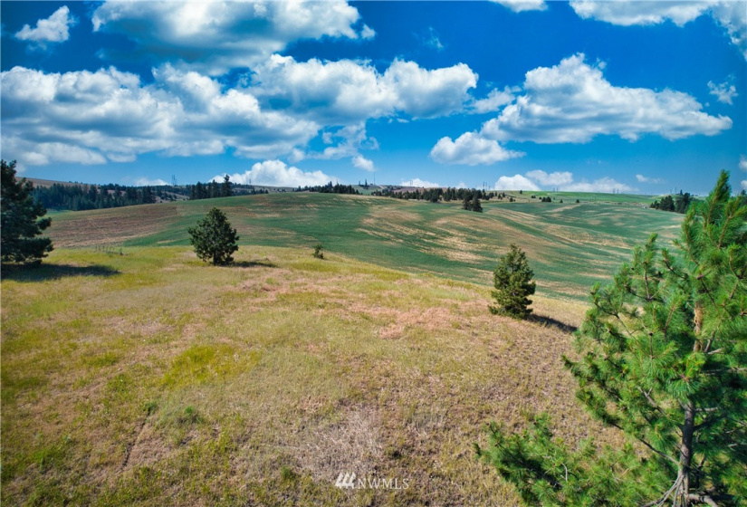 33196 Teel Hill, Davenport, Washington 99122, 3 Bedrooms Bedrooms, ,1 BathroomBathrooms,Farm,For Sale,Teel Hill,NWM1810942