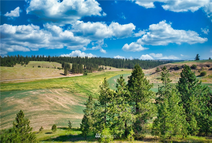 33196 Teel Hill, Davenport, Washington 99122, 3 Bedrooms Bedrooms, ,1 BathroomBathrooms,Farm,For Sale,Teel Hill,NWM1810942
