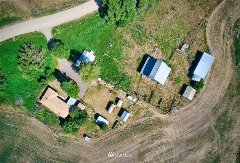 33196 Teel Hill, Davenport, Washington 99122, 3 Bedrooms Bedrooms, ,1 BathroomBathrooms,Farm,For Sale,Teel Hill,NWM1810942