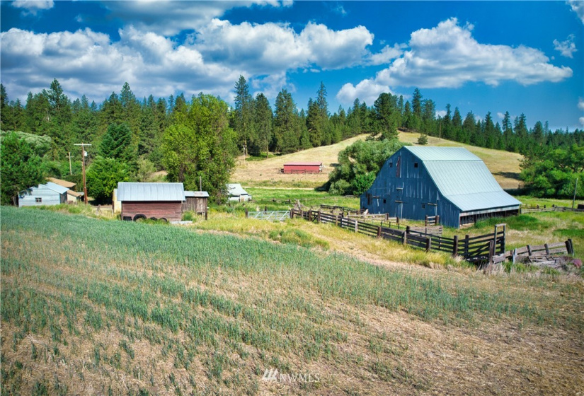 33196 Teel Hill, Davenport, Washington 99122, 3 Bedrooms Bedrooms, ,1 BathroomBathrooms,Farm,For Sale,Teel Hill,NWM1810942