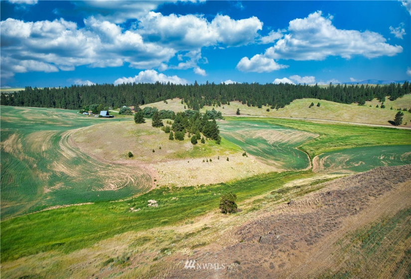 33196 Teel Hill, Davenport, Washington 99122, 3 Bedrooms Bedrooms, ,1 BathroomBathrooms,Farm,For Sale,Teel Hill,NWM1810942