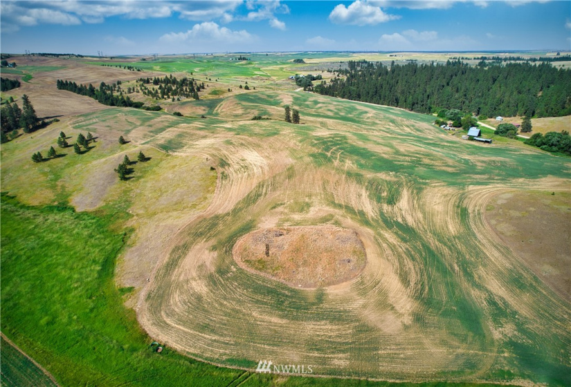 33196 Teel Hill, Davenport, Washington 99122, 3 Bedrooms Bedrooms, ,1 BathroomBathrooms,Farm,For Sale,Teel Hill,NWM1810942