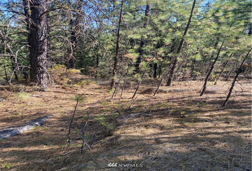 5069 Rail Canyon Road #C, Springdale, Washington 99173, ,Land,For Sale,Rail Canyon Road #C,NWM1813759