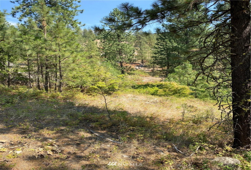 5069 Rail Canyon Road #C, Springdale, Washington 99173, ,Land,For Sale,Rail Canyon Road #C,NWM1813759