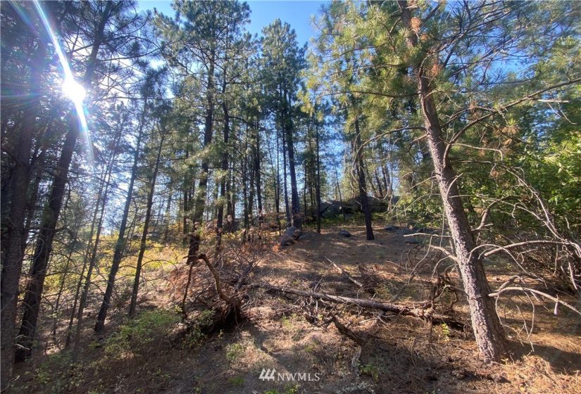 5069 Rail Canyon Road #C, Springdale, Washington 99173, ,Land,For Sale,Rail Canyon Road #C,NWM1813759