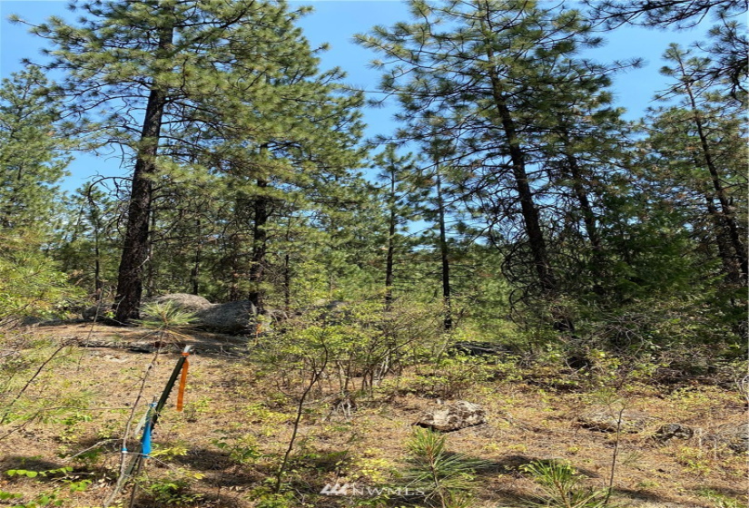 5069 Rail Canyon Road #C, Springdale, Washington 99173, ,Land,For Sale,Rail Canyon Road #C,NWM1813759