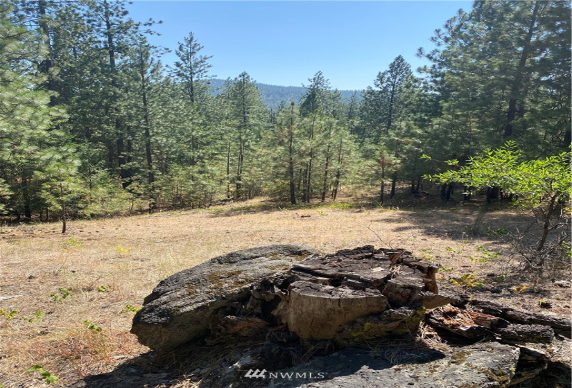 5069 Rail Canyon Road #C, Springdale, Washington 99173, ,Land,For Sale,Rail Canyon Road #C,NWM1813759