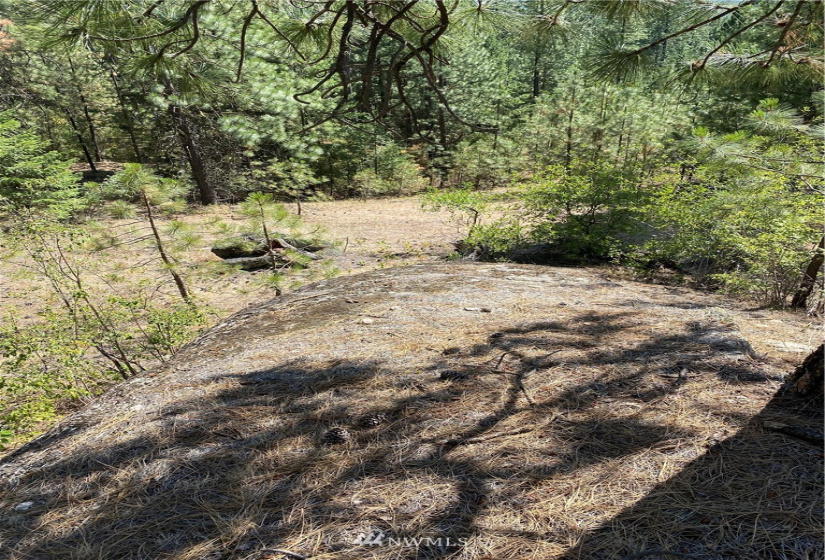 5069 Rail Canyon Road #C, Springdale, Washington 99173, ,Land,For Sale,Rail Canyon Road #C,NWM1813759