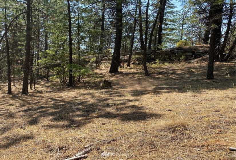 5069 Rail Canyon Road #C, Springdale, Washington 99173, ,Land,For Sale,Rail Canyon Road #C,NWM1813759