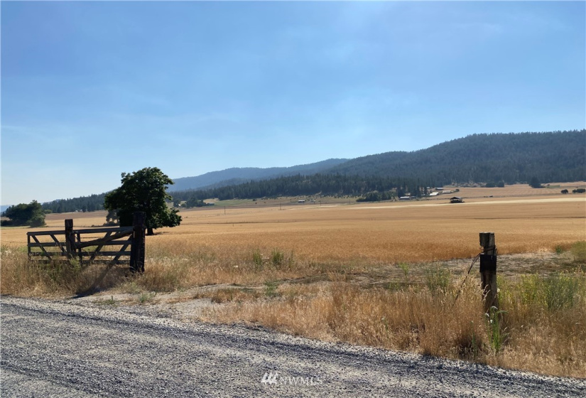 5069 Rail Canyon Road #C, Springdale, Washington 99173, ,Land,For Sale,Rail Canyon Road #C,NWM1813759