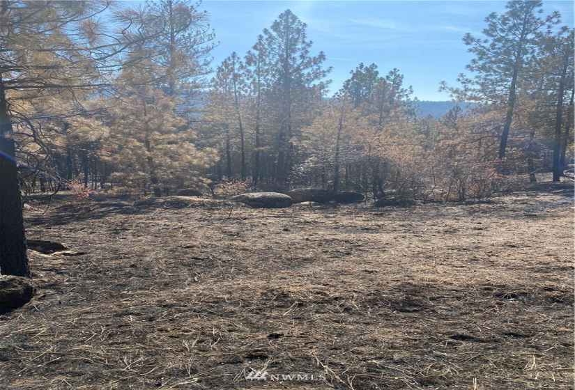 5069 Rail Canyon Road #C, Springdale, Washington 99173, ,Land,For Sale,Rail Canyon Road #C,NWM1813759