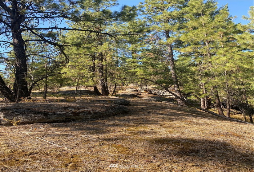 5069 Rail Canyon Road #C, Springdale, Washington 99173, ,Land,For Sale,Rail Canyon Road #C,NWM1813759