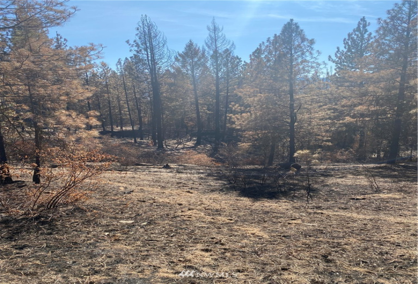 5069 Rail Canyon Road #C, Springdale, Washington 99173, ,Land,For Sale,Rail Canyon Road #C,NWM1813759