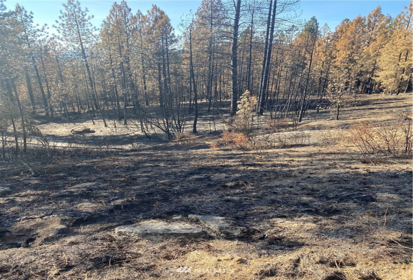 5069 Rail Canyon Road #C, Springdale, Washington 99173, ,Land,For Sale,Rail Canyon Road #C,NWM1813759