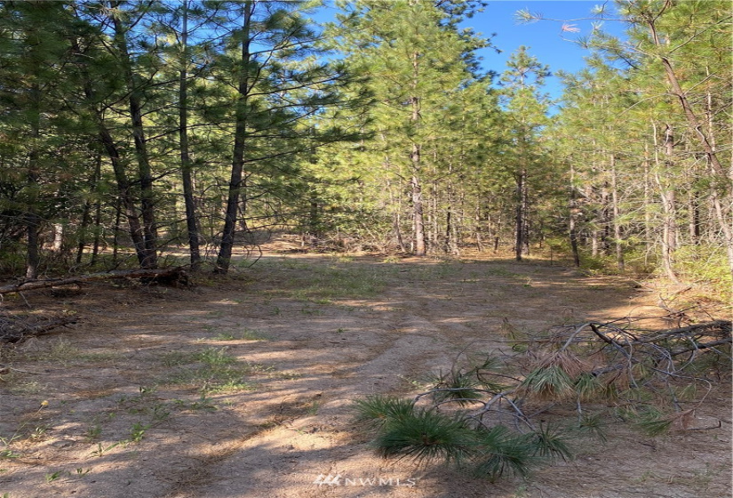 5069 Rail Canyon Road #C, Springdale, Washington 99173, ,Land,For Sale,Rail Canyon Road #C,NWM1813759