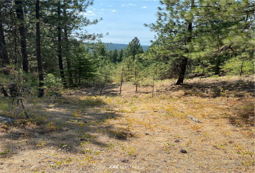 5069 Rail Canyon Road #C, Springdale, Washington 99173, ,Land,For Sale,Rail Canyon Road #C,NWM1813759