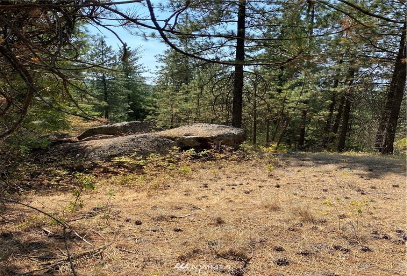 5069 Rail Canyon Road #C, Springdale, Washington 99173, ,Land,For Sale,Rail Canyon Road #C,NWM1813759