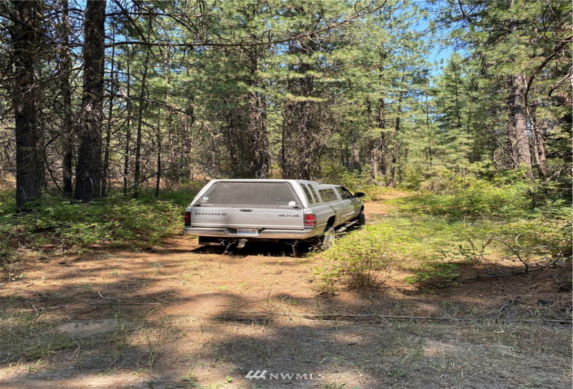 5069 Rail Canyon Road #C, Springdale, Washington 99173, ,Land,For Sale,Rail Canyon Road #C,NWM1813759