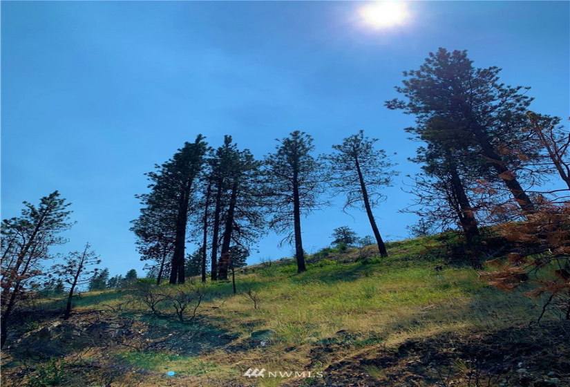 23 TBD Omak Lake Rd, Omak, Washington 98841, ,Land,For Sale,TBD Omak Lake Rd,NWM1804796