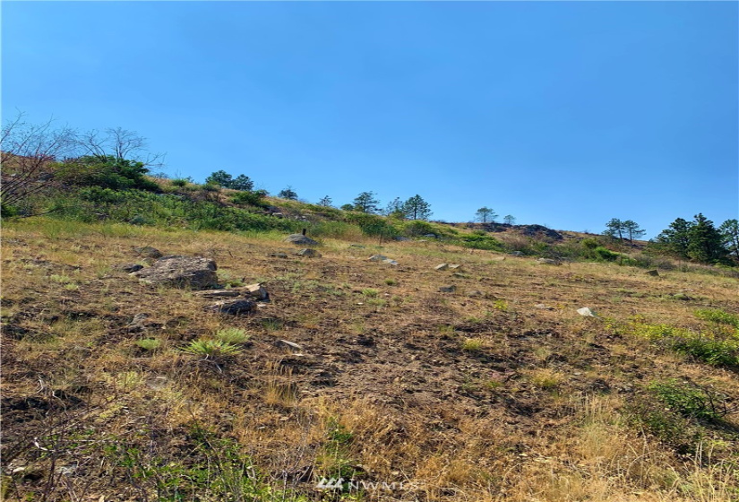 31 TBD Omak Lake Rd, Omak, Washington 98841, ,Land,For Sale,TBD Omak Lake Rd,NWM1804826