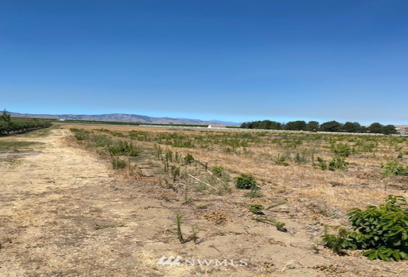 0 NNA Van Well, East Wenatchee, Washington 98802, ,Commercial Sale,For Sale,Van Well,NWM1813855