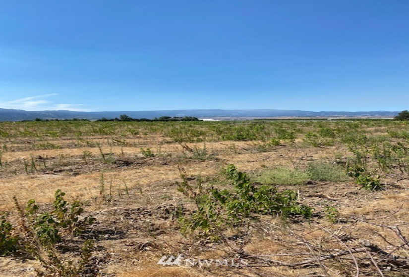 0 NNA Van Well, East Wenatchee, Washington 98802, ,Commercial Sale,For Sale,Van Well,NWM1813855